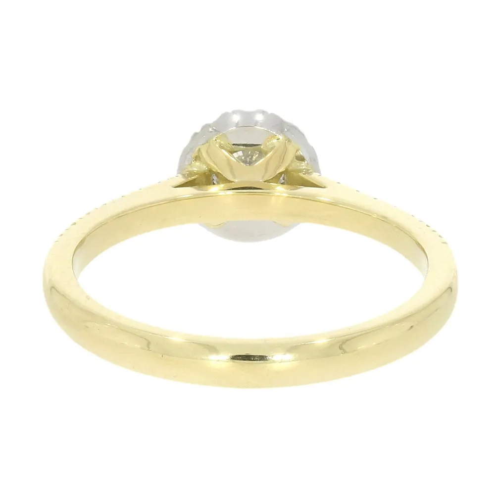 18ct Yellow Gold and Platinum Brilliant Cut 0.28ct Diamond Halo Cluster Ring