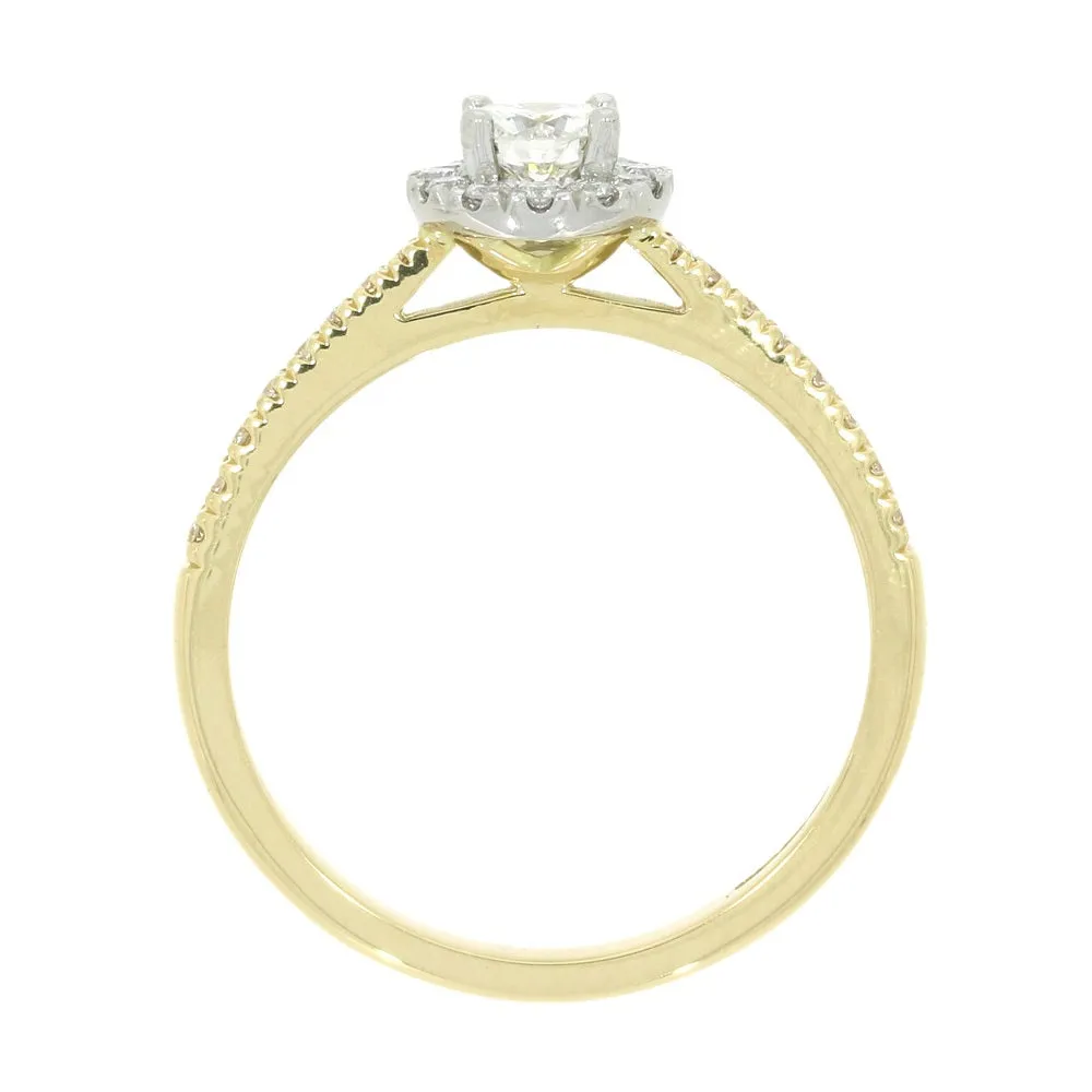 18ct Yellow Gold and Platinum Brilliant Cut 0.28ct Diamond Halo Cluster Ring