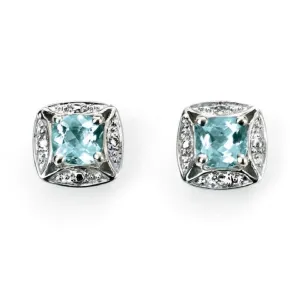 9ct White Gold Aquamarine and Diamond Earrings GE732T