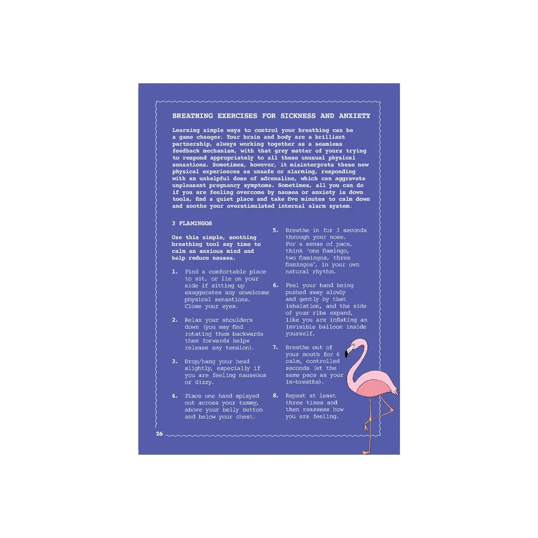 Bookspeed "The Little Book of Self Care for Mums-to-Be"