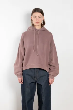 Hooded Sweater