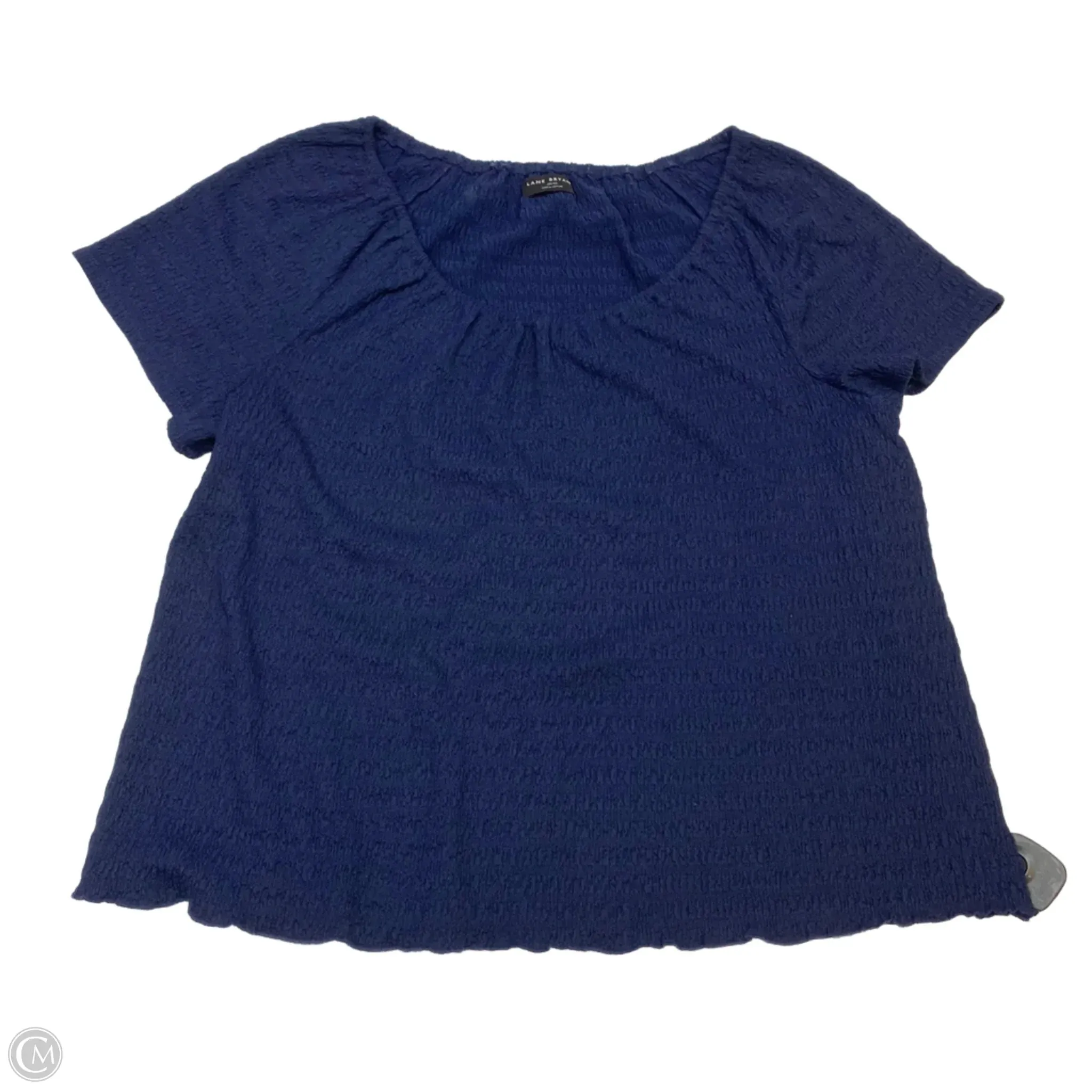Top Short Sleeve By Lane Bryant In Blue, Size: 3x