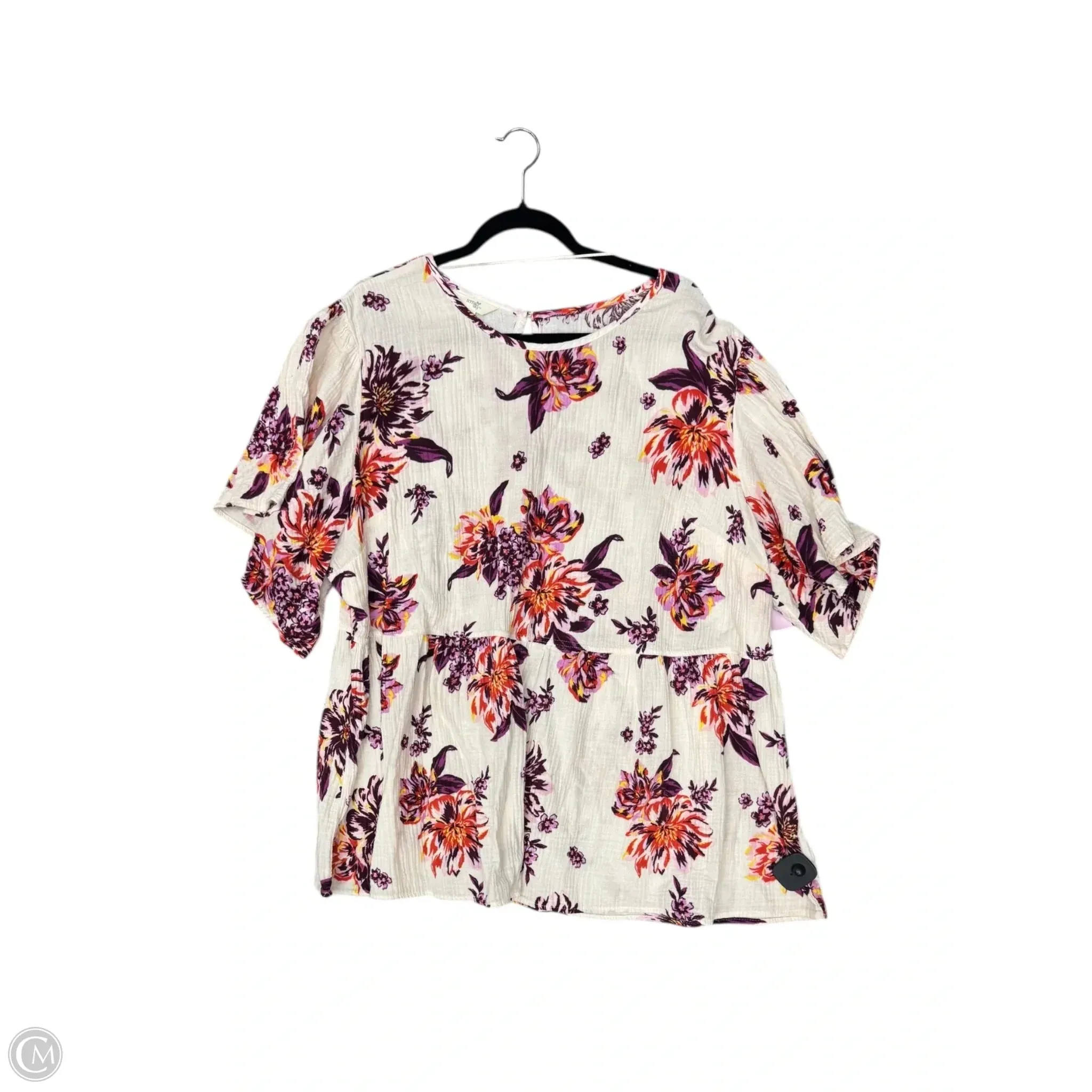 Top Short Sleeve By Terra & Sky In Cream, Size: 2x