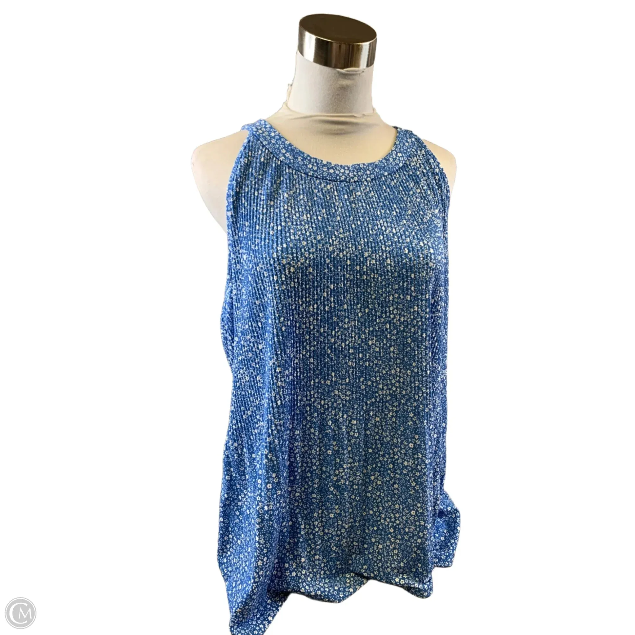 Top Sleeveless By Adrianna Papell In Blue & White, Size: Xl