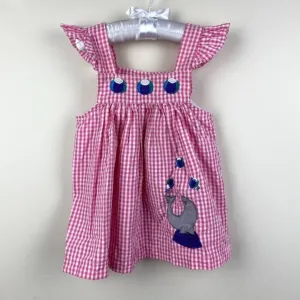 Worth Every Penny Vintage Samara Pink Gingham Seal Dress 24 Months  Limited Release!